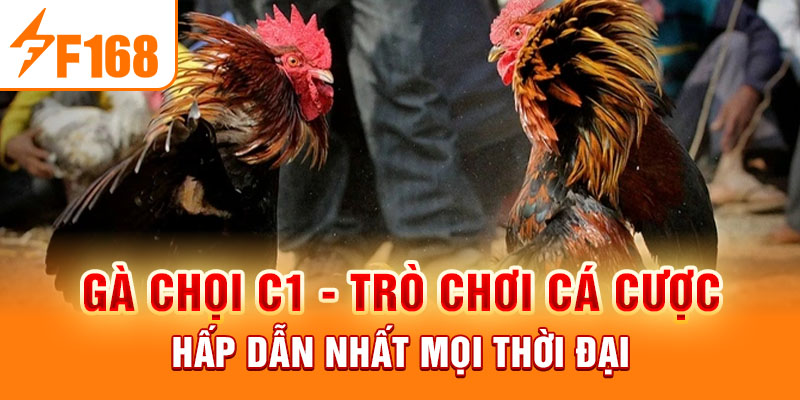 Gà Chọi C1 - Trò Chơi Cá Cược Hấp Dẫn Nhất Mọi Thời Đại Gà Chọi C1 - Trò Chơi Cá Cược Hấp Dẫn Nhất Mọi Thời Đại
